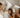 The Importance of Choosing the Right Pillow - Blackberry Creek Mattress