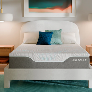 Molecule Reflex Pro Memory Foam Mattress - Blackberry Creek Mattress