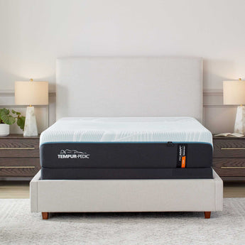 Tempurpedic Tempur - Pedic ProAdapt® 12" Firm Mattress - Blackberry Creek Mattress