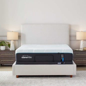 Tempurpedic Tempur - Pedic ProAdapt® 12" Soft Mattress - Blackberry Creek Mattress