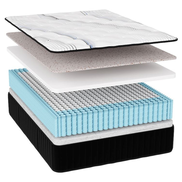 Englander Oxford Plush Mattress Mattresses Englander 