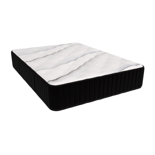 Englander Oxford Plush Mattress Mattresses Englander Queen 