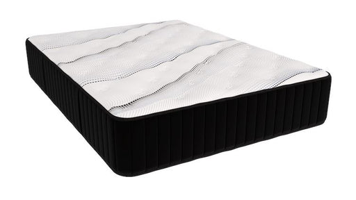 Englander Oxford Plush Mattress Mattresses Englander Queen 